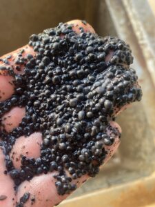 柠檬酸颗粒污泥